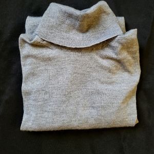 Merino Wool Banana Republic Turtleneck